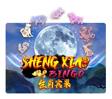 Sheng Xiao Bingo - POWERPLAY128