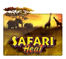 Joker123 : Safari Heat - POWERPLAY128