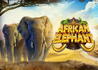 Pragmatic : African Elephant - POWERPLAY128